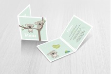 Schattige koalabeertjes